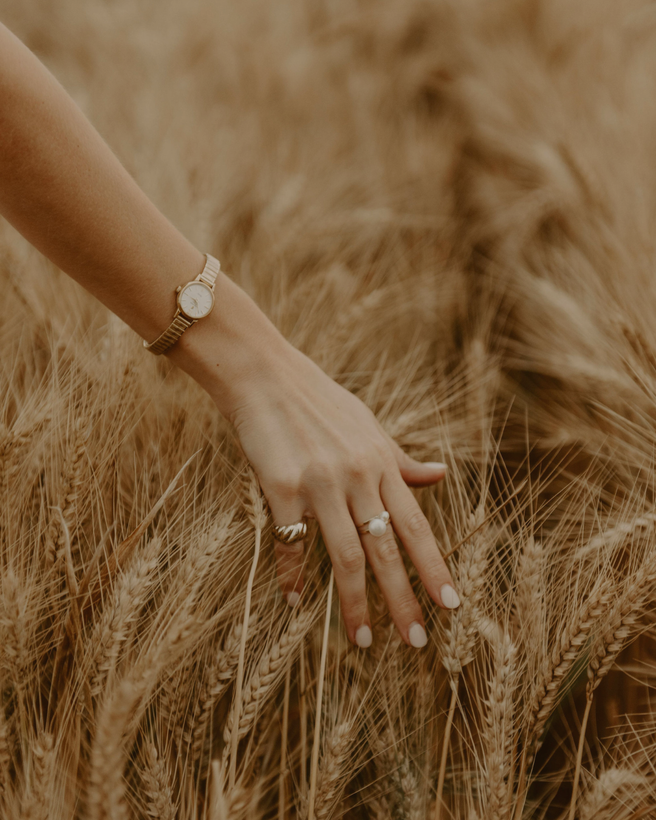 The Harvest Collection