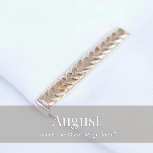 August Woven Tie Clip In Silver