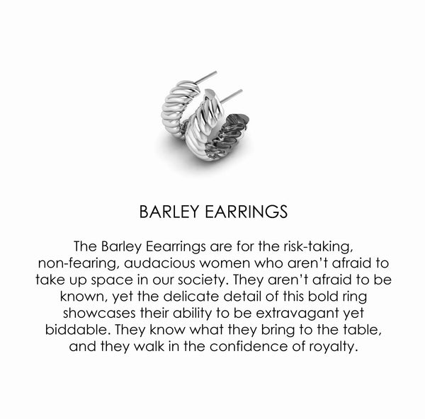 Barley Earrings In Silver